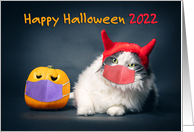 Happy Halloween 2021 Cat and Pumpkin in Pandemic Face Masks Humor card