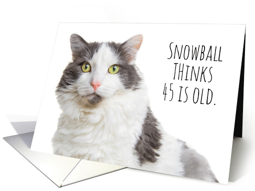 Happy Birthday Cat Thinks 45 Is Old Humor card (1647718)