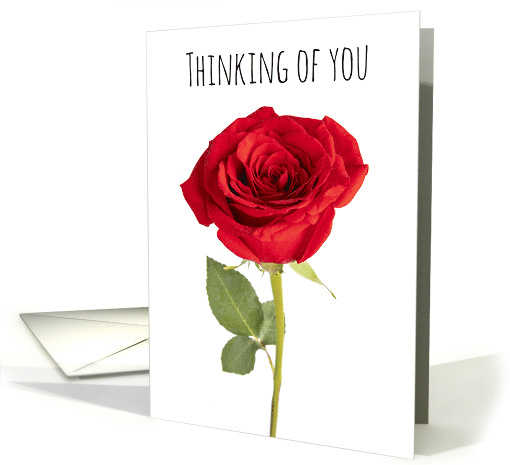 Thinking of You Beautiful Red Rose card (1647764)