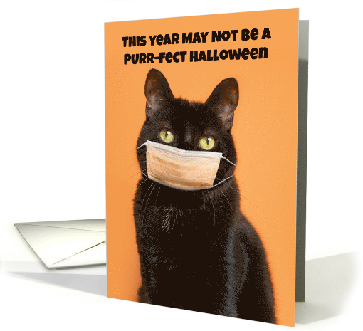 Happy Halloween Black Cat in Face Mask Humor card (1648454)