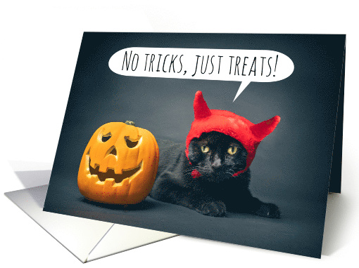 Happy Halloween Funny Cat in Devil Costume With Jack o Lantern card