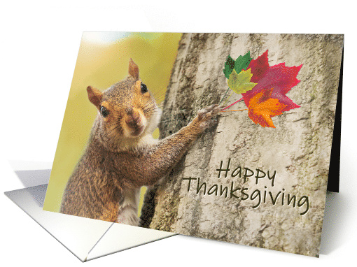 Happy Thanksgiving Cute Squirrel With Fall Leaves on Tree... (1650536)