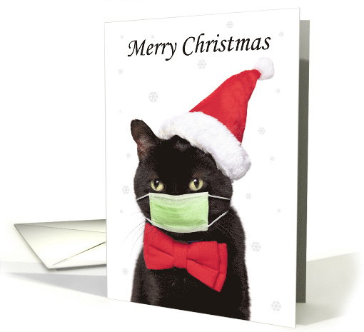 Merry Christmas Cute Cat in Santa Hat and Coronavirus Mask Humor card