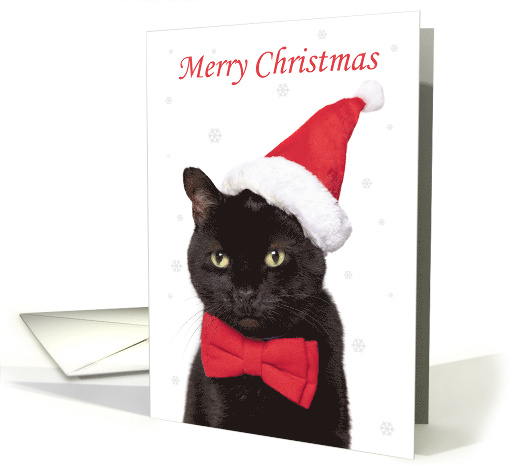 Merry Christmas Cute Cat in Santa Hat and Bow Tie Humor card (1651066)