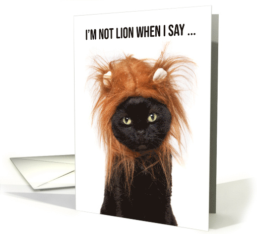 Happy Birthday For Anyone Cute Cat in Lion Costume Humor card