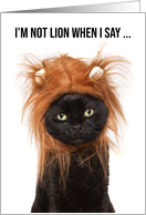 Happy Birthday For Anyone Cute Cat in Lion Costume Humor card