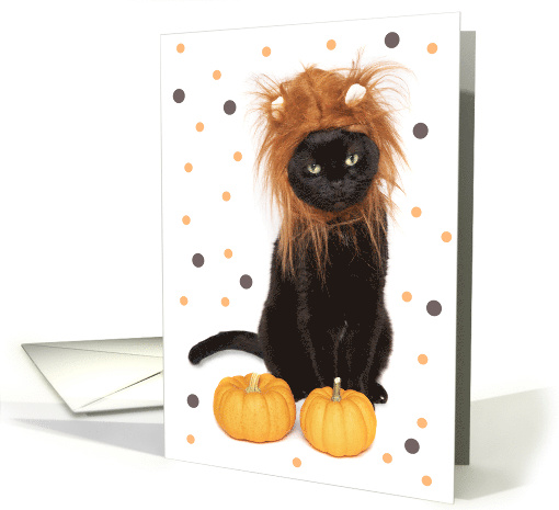 Happy Halloween Black Kitty Cat in Lion Costume Humor card (1651080)