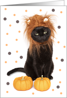 Happy Halloween Black Kitty Cat in Lion Costume Humor card