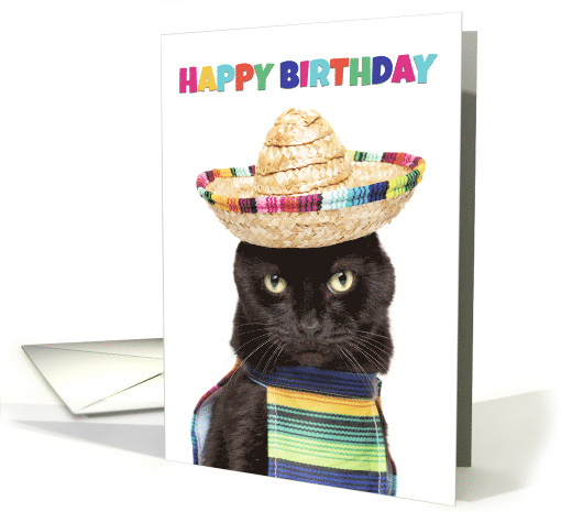 Happy Birthday Cute Black Cat in Sombrerro and Poncho Humor card