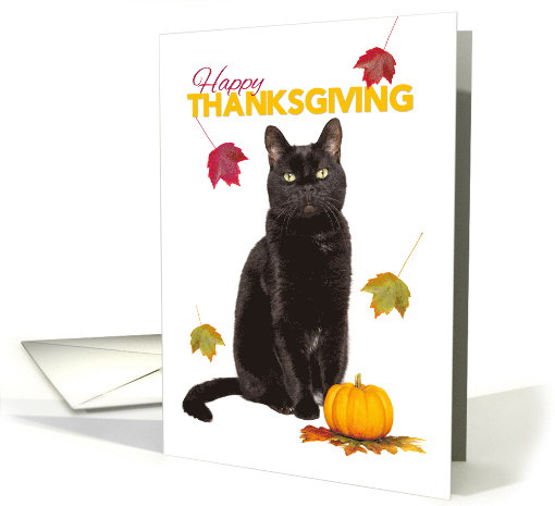 Happy Thanksgiving Cute Black Cat With Fall Leaves card (1651204)