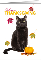 Happy Thanksgiving Cute Black Cat With Fall Leaves card