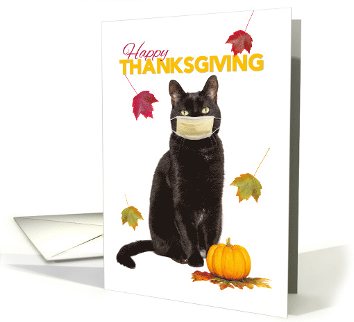 Happy Thanksgiving Cat in Coronavirus Face Mask Humor card (1651220)