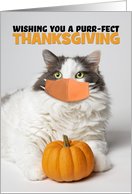 Happy Thanksgiving Cute Kitty Cat in Coronavirus Mask With Pumpkin card