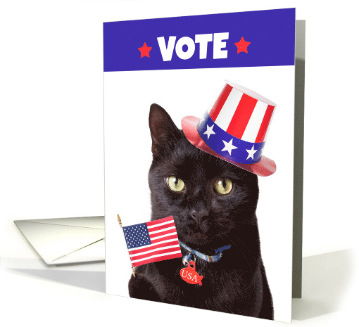 Vote Patriotic Cat With Flag and Hat Humor card (1653122)