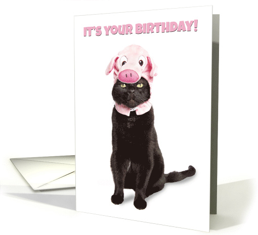 Happy Birthday For Anyone Funny Cat in Piggy Hat Humor card (1654288)