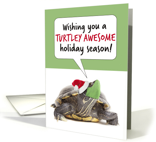 Happy Holidays Cute Turtle in Covid Face Mask Humor card (1654718)