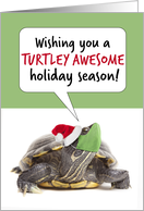 Happy Holidays Cute Turtle in Covid Face Mask Humor card