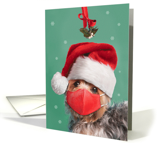 Merry Christmas Yorkshire Terrier in Face Mask and Santa... (1654810)