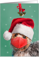 Merry Christmas Yorkshire Terrier in Face Mask and Santa Hat Humor card