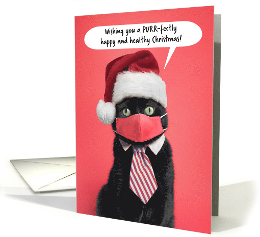 Merry Christmas Cat in Face Mask and Santa Hat Humor card (1655096)