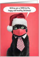 Merry Christmas Cat in Face Mask and Santa Hat Humor card