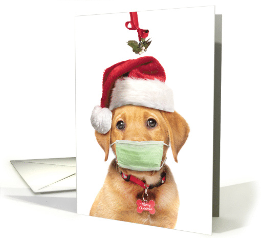 Merry Christmas Labrador Puppy in Face Mask and Santa Hat Humor card