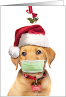 Merry Christmas Labrador Puppy in Face Mask and Santa Hat Humor card