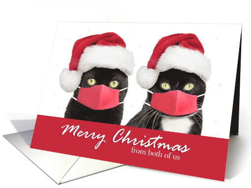 Merry Christmas From Both of Us Cats in Face Masks card (1655776)