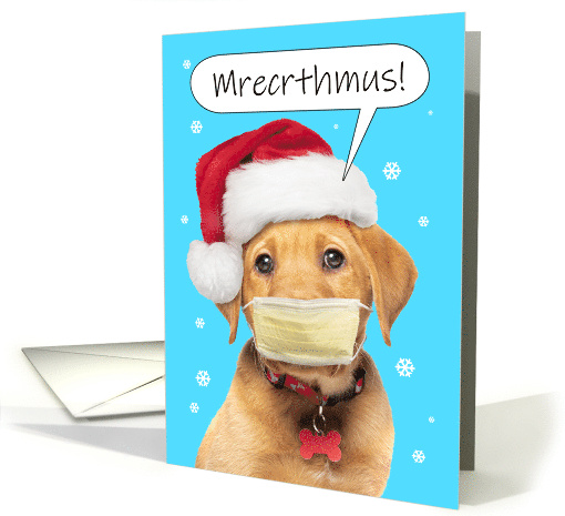Merry Christmas Muffled Talking Puppy in Coronavirus Face... (1658654)