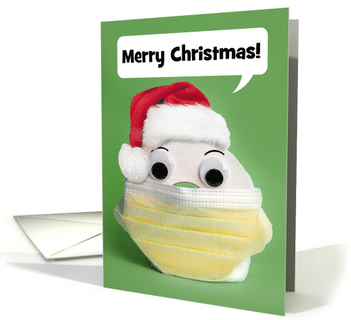 Merry Christmas Toilet Paper in Coronavirus Face Mask Humor card