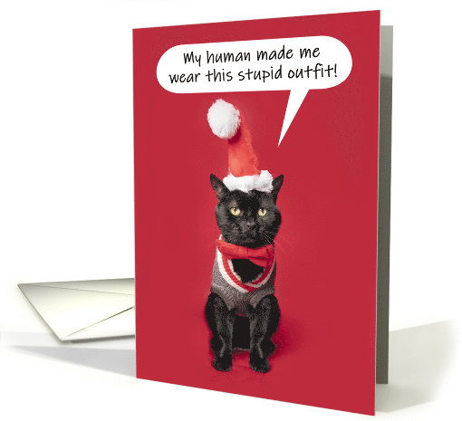 Merry Christmas Funny Cat Dressed in Holiday Outfit Humor card