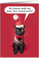 Merry Christmas Funny Cat Dressed in Holiday Outfit Humor card