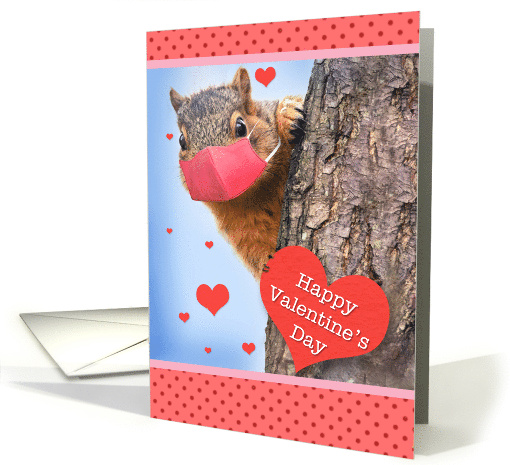 Happy Valentine's Day Squirrel in Covid Face Mask Humor card (1659834)