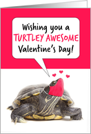 Happy Valentine’s Day Turtle in Covid Face Mask Humor card