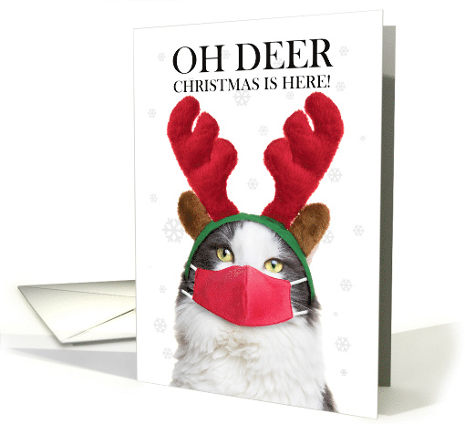 Merry Christmas Cute Cat in Reindeer Ears and Face Mask Humor card