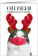 Merry Christmas Cute Cat in Reindeer Ears and Face Mask Humor card