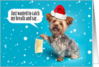 Merry Christmas Yorkie Dog in Santa Hat Face Mask Humor card