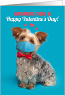 Happy Valentine’s Day Yorkie Dog in Covid Face Mask Humor card
