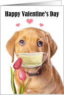 Happy Valentine’s Day Cute Labrador Puppy in Face Mask Humor card