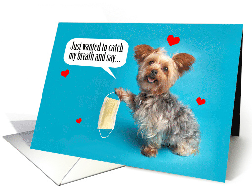 Happy Valentine's Day Cute Yorkie Dog in Face Mask Humor card