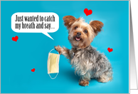 Happy Valentine’s Day Cute Yorkie Dog in Face Mask Humor card