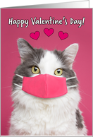 Happy Valentine’s Day Cute Kitty Cat in Face Mask Humor card