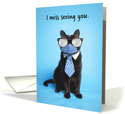 I Miss Seeing You Cat in Foggy Glasses and Face Mask Humor card