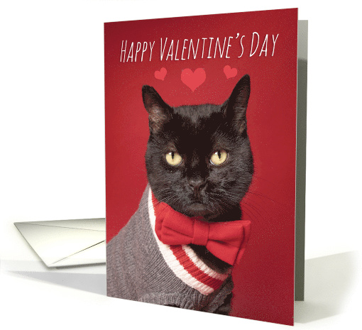 Happy Valentine's Day Handsome Black Cat in Bow Tie Humor card
