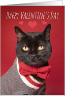 Happy Valentine’s Day Handsome Black Cat in Bow Tie Humor card