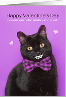 Happy Valentine’s Day Funny Cat With Big Smile Humor card