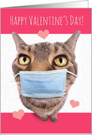 Happy Valentine’s Day Funny Tabby Cat in Pandemic Face Mask Humor card
