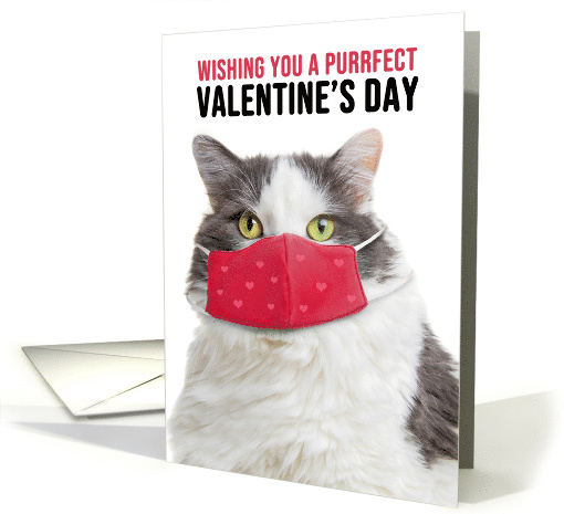 Happy Valentine's Day Big Cat in Pandemic Face Mask card (1662420)