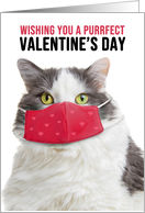 Happy Valentine’s Day Big Cat in Pandemic Face Mask card