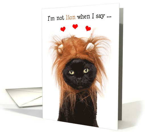Happy Valentine's Day Cute Cat in Lion Costume Humor card (1663076)